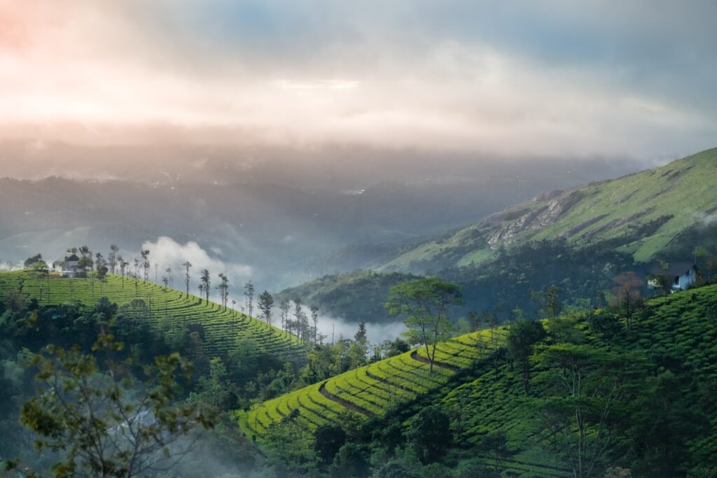 munnar