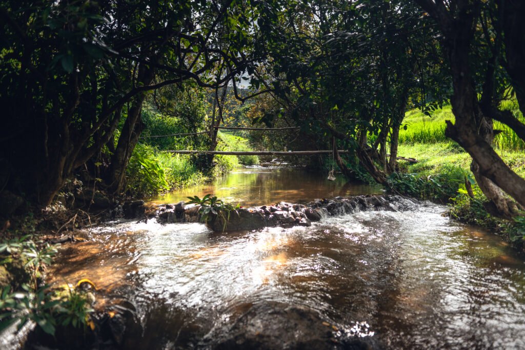 thekkady